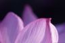 dn1-0035-32.jpg(1639 byte)